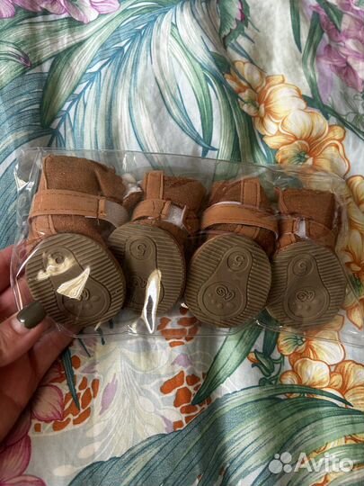 Кофточка и ботинки для собаки