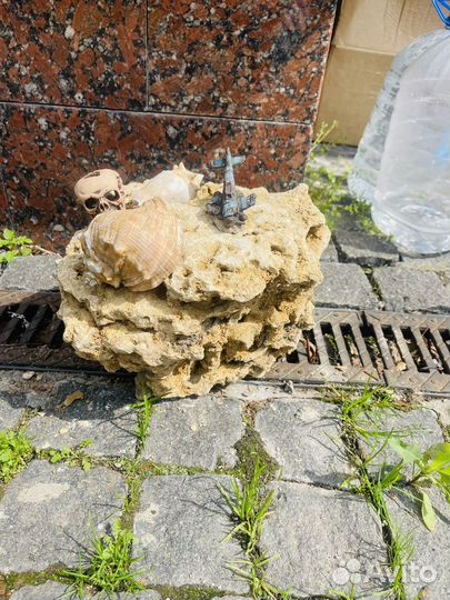 Камень ракушечник для аквариума