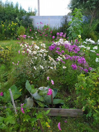 Дача 86 м² на участке 10 сот.