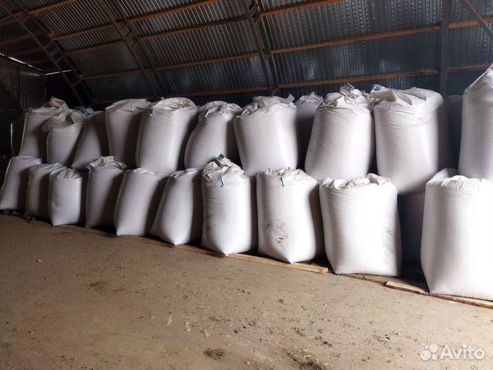 Продам Пшеницу, Ячмень