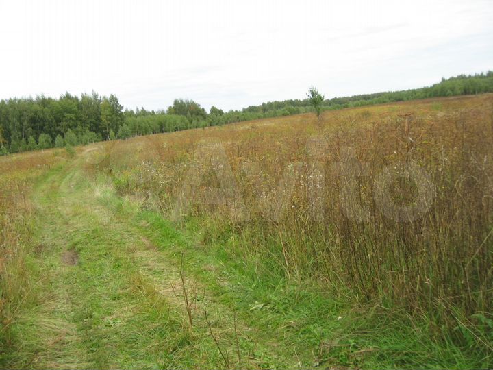 Участок 40 га (СНТ, ДНП)