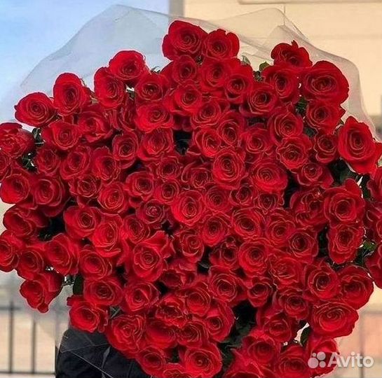 Розы Эквадор Метровые 100 см доставка Москва