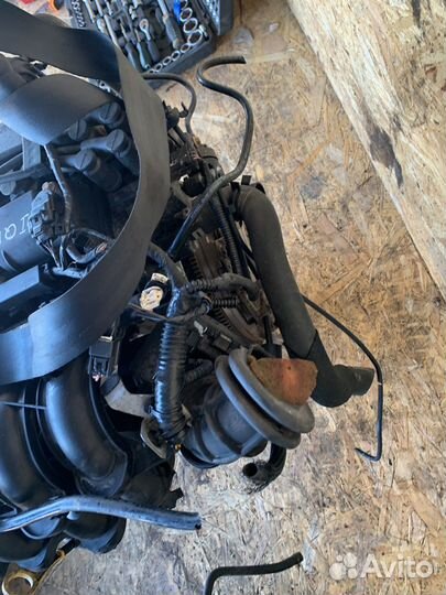 Двигатель ford focus 3 1.6 105