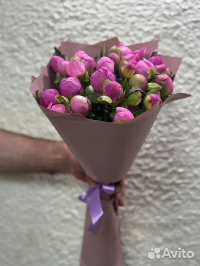 Пионы москва