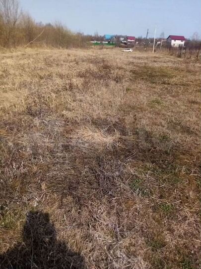 Участок 19,5 сот. (ИЖС)