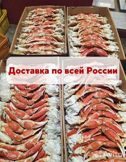 Морепродукты опт розница