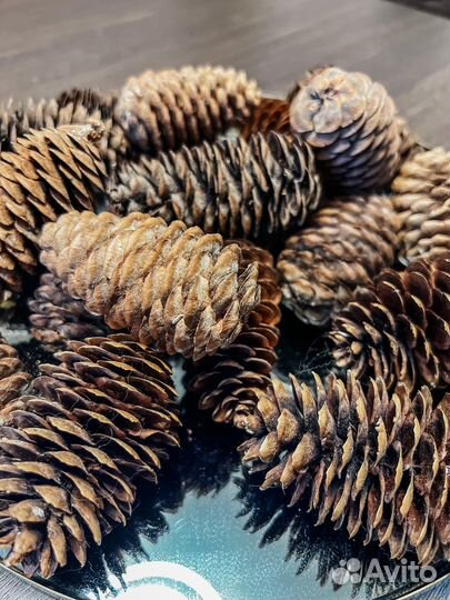 Шишка еловая для декора