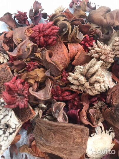 Декоративные сухоцветы интерьерные