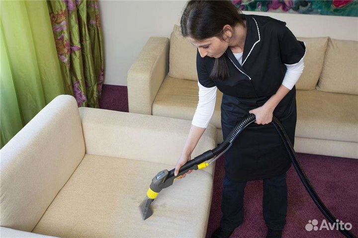 Аренда моющего пылесоса Karcher, озонатора Зевс