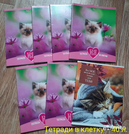 Тетрадь в клетку