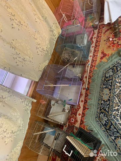 Клетки для хомяков птиц