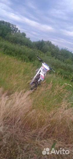 Bse dx 125