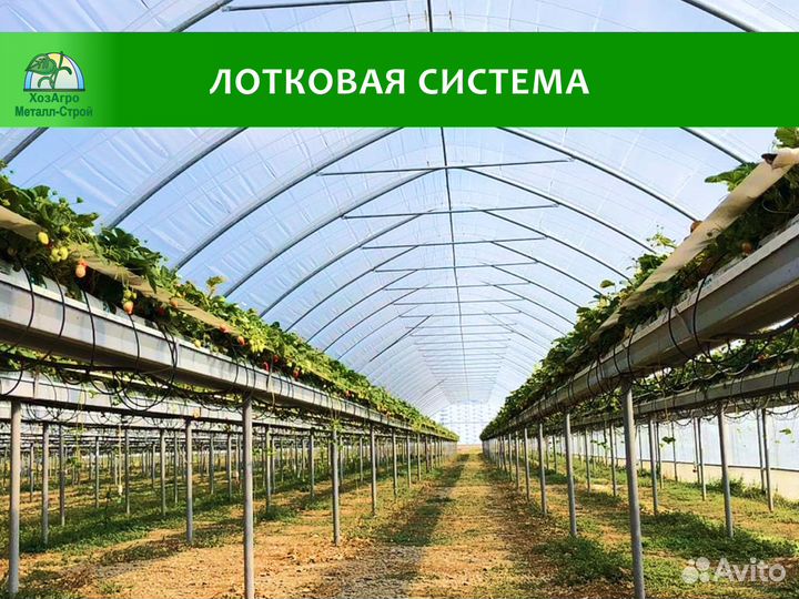 Лотки для гидропоники, ягодные туннели