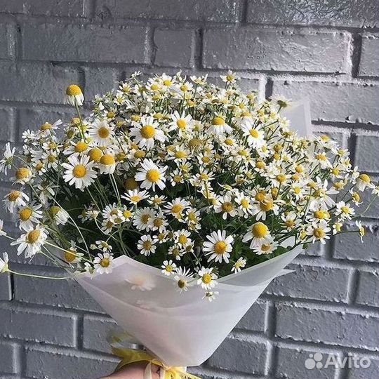 Ромашки букет