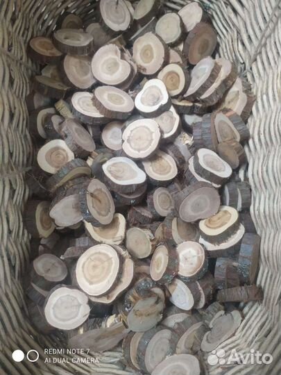 Можжевельник