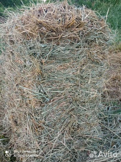 Сено,Солома и люцерна в тюках