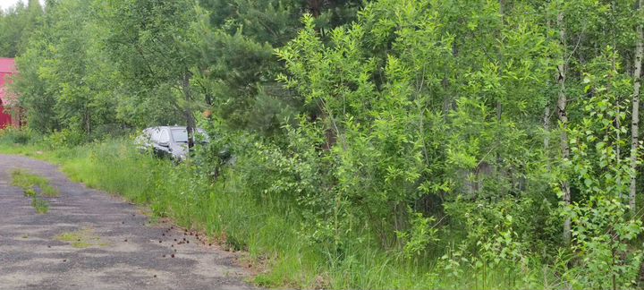 Участок 16 сот. (СНТ, ДНП)