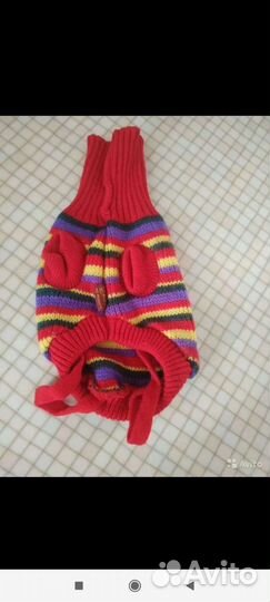 Комбинезоны,свитер,поводок,пыльник, носочки, обувь