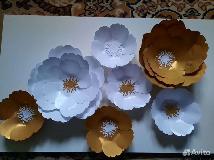 Интерьерные цветы