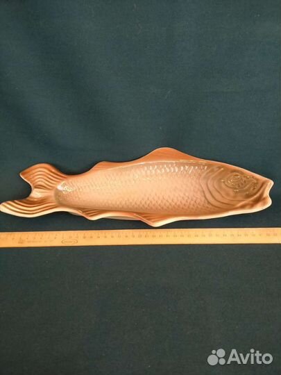 Селёдочница Рыба