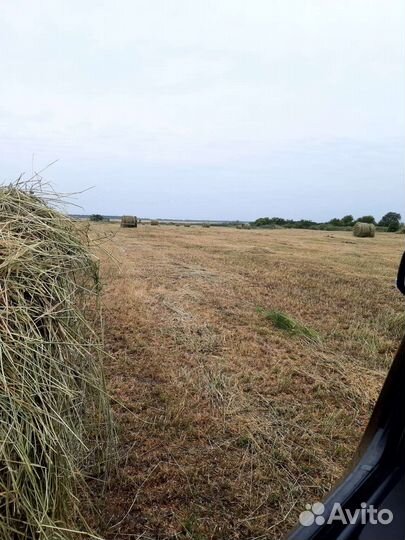 Сено-люцерка