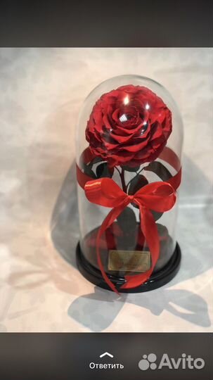 Роза в колбе