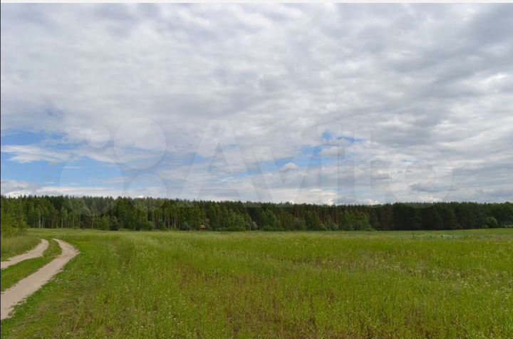 Участок 4 га (СНТ, ДНП)