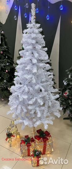 Ёлка-на полу ни одной иголки