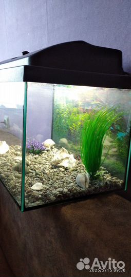 Аквариум