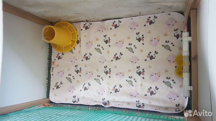 Брудер для цыплят кур