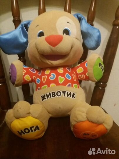 Ученый щенок