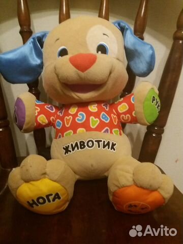 Ученый щенок