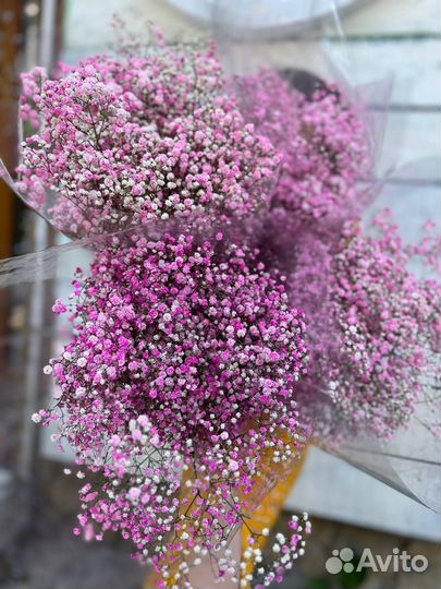 Букет Гипсофила Белая Цветная