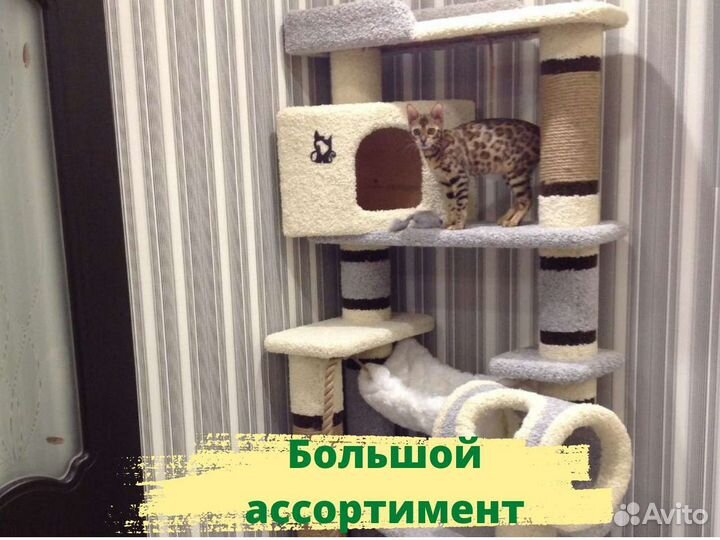 Когтеточка домик для кошки