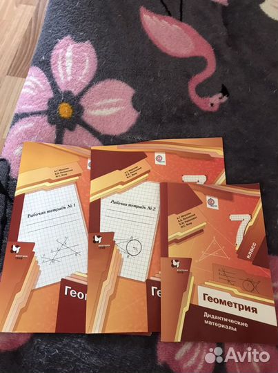 Рабочая тетрадь и дидактический материал ро геомет