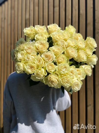 Белые розы 70 см Эквадор