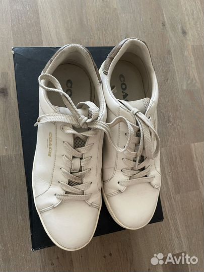 Женские кеды Coach 40