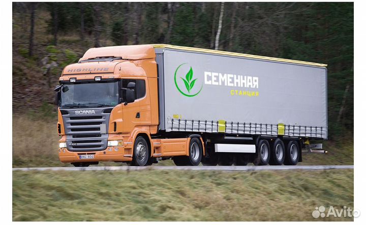 Семена люцерны