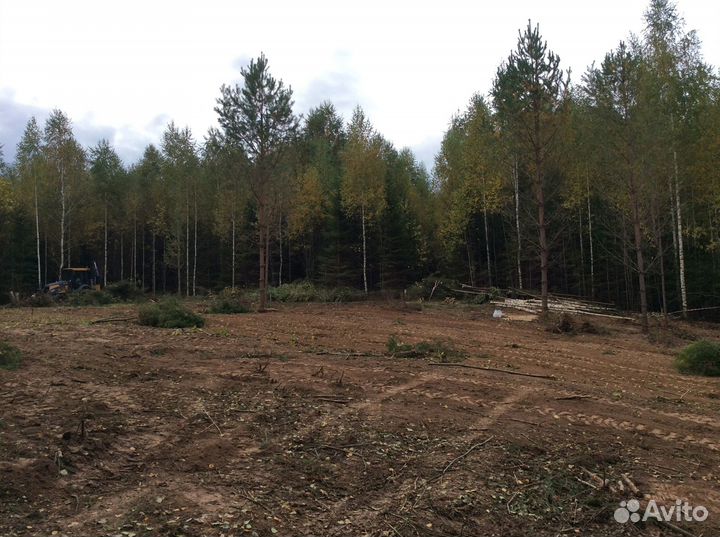 Уборка участка, расчистка участка от деревьев