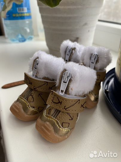 Продам обувь