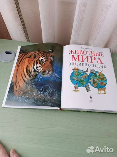 Детская энциклопедия 