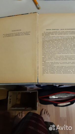 Рыболов-спортсмен №16