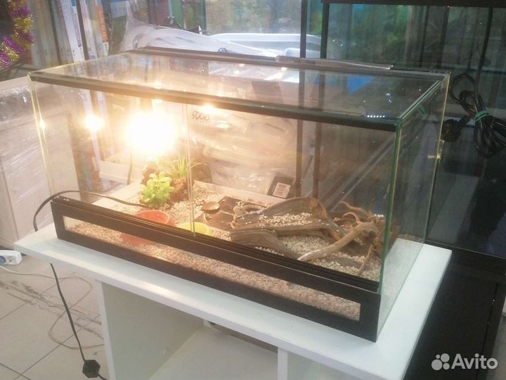Аквариум. Аквариум с тумбой, с крышкой