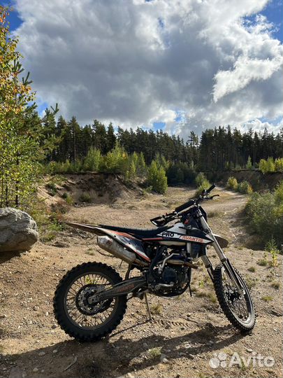 Avantis Enduro 300 PRO EFI Exclusive