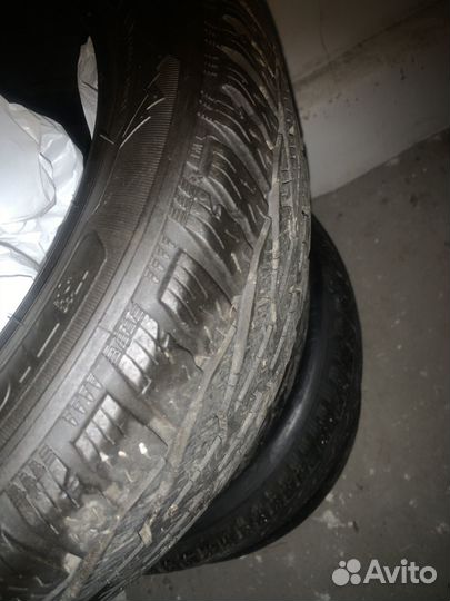 Tigar Winter 195/50 R15