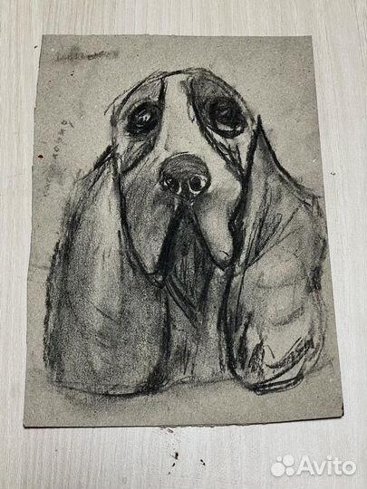 Портреты животных на заказ