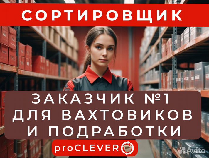 Сортировщик посылок все включено вахта