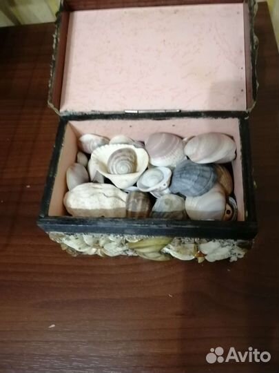 Шкатулка из ракушек, наполненная ракушками внутри