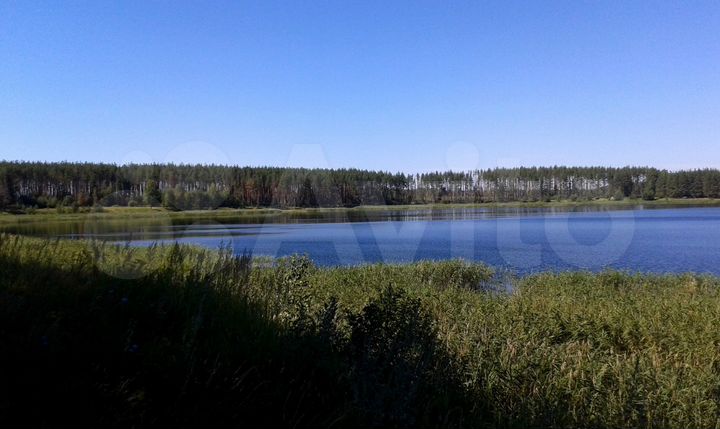 Участок 33 сот. (ИЖС)