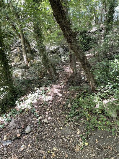 Участок 8 сот. (ИЖС)